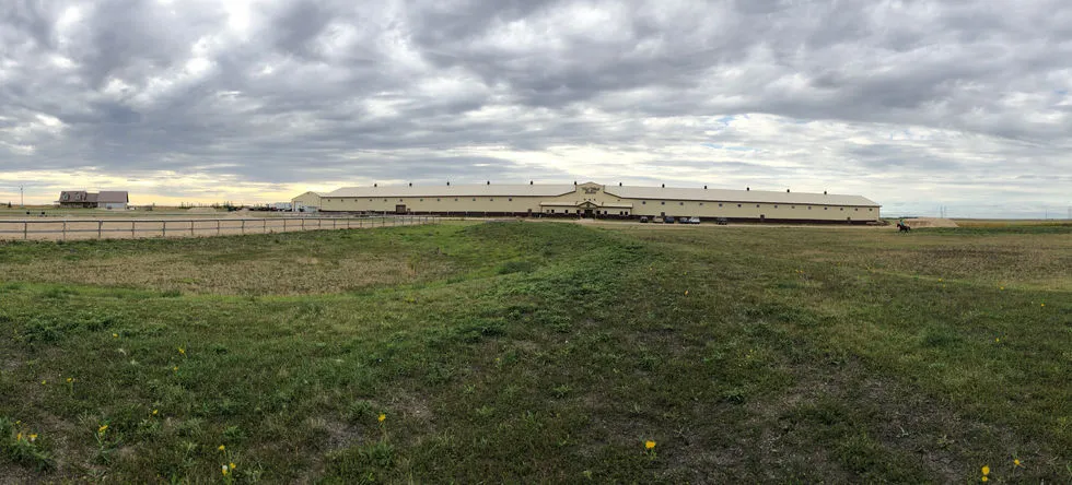 West Wind Stables — 53086 Rd 4 E (2)