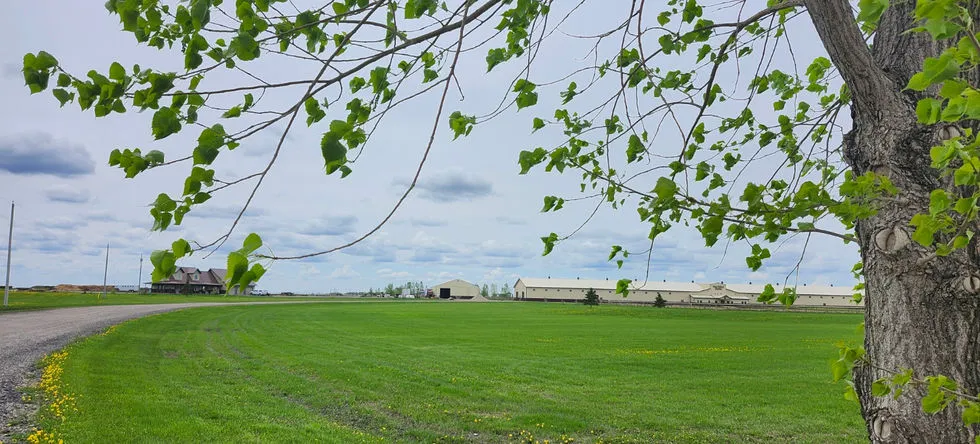 West Wind Stables — 53086 Rd 4 E (3)