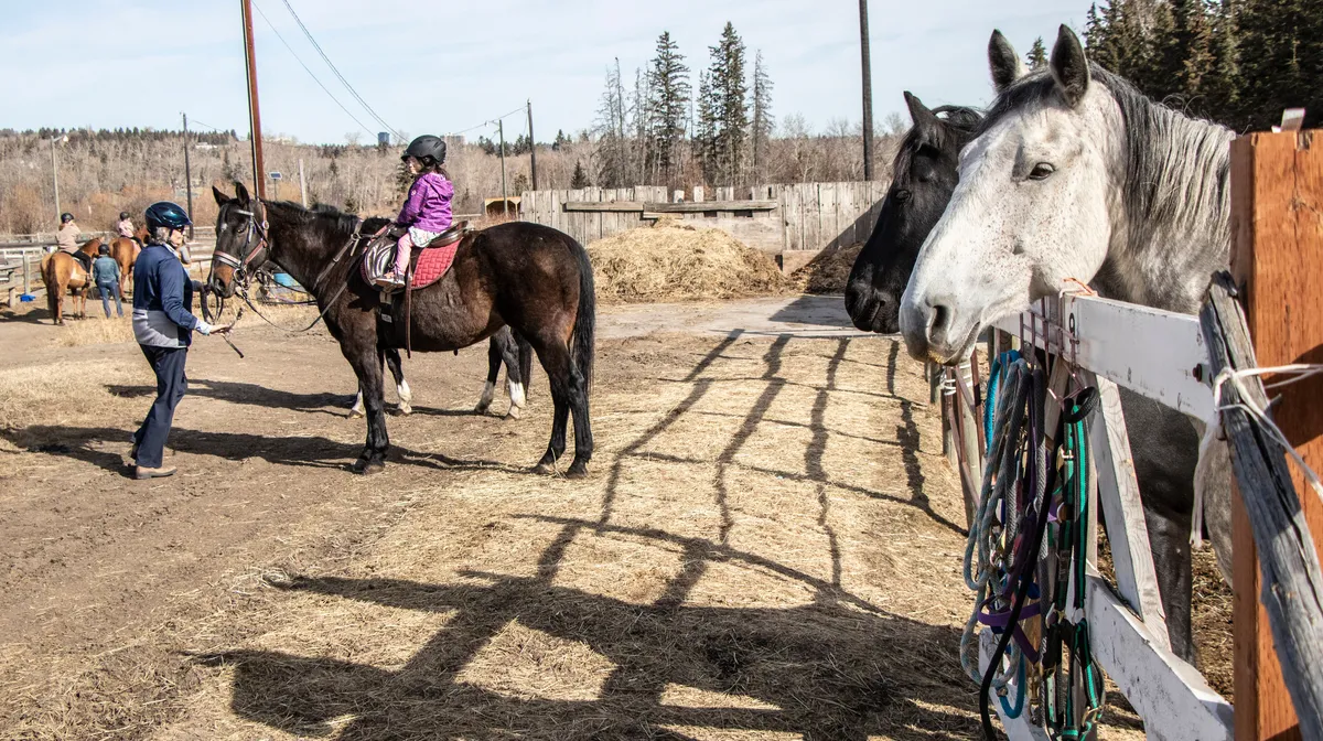 Whitemud Equine Learning Centre Association — Edmonton (1)