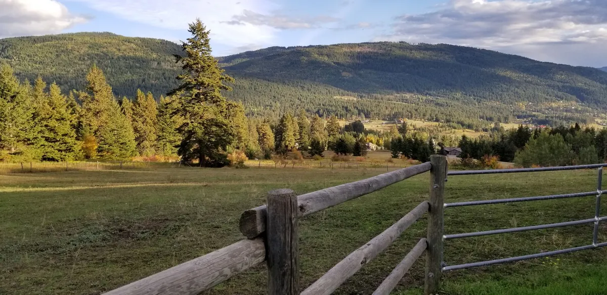 Wildwood Equestrian — Vernon (2)