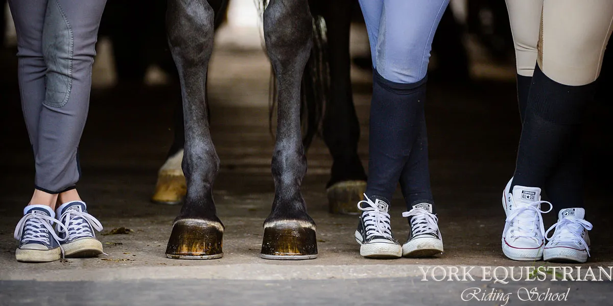 York Equestrian — Whitchurch-Stouffville (1)