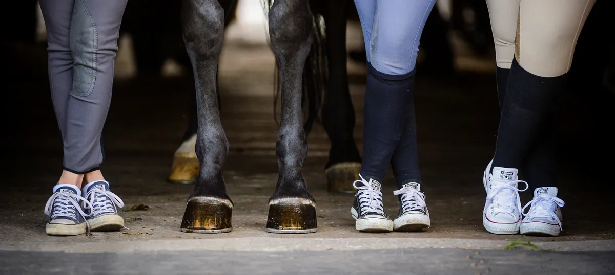 York Equestrian — Whitchurch-Stouffville (2)