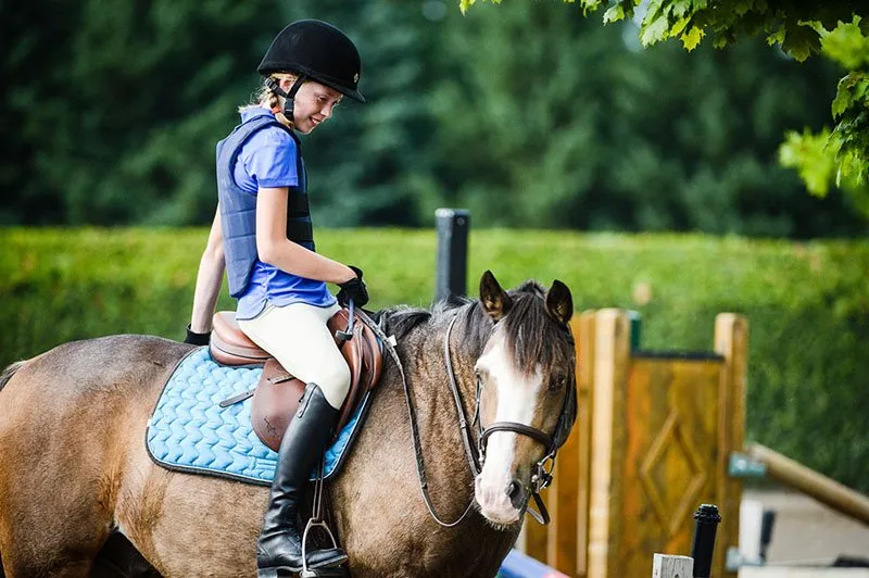 York Equestrian — Whitchurch-Stouffville (3)