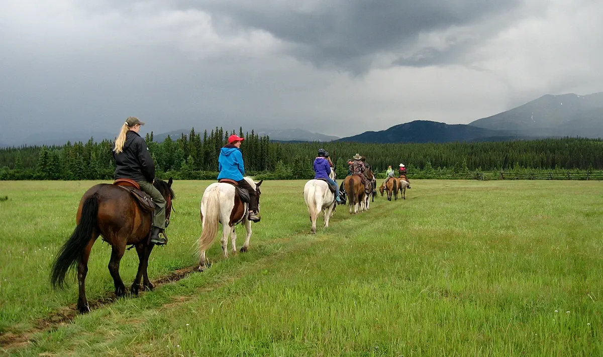 Yukon Horse Packing Adventures — Whitehorse (3)